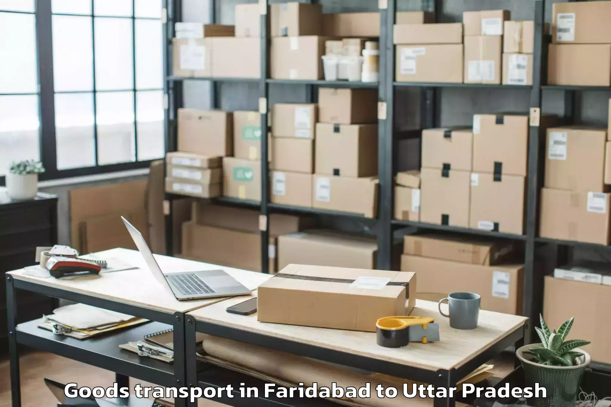 Trusted Faridabad to Ganj Dundwara Goods Transport